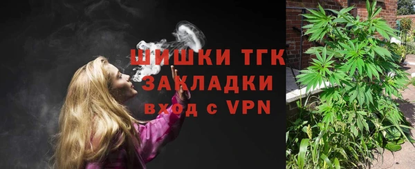 СК Инта