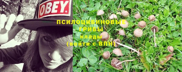 прущий лед Козловка